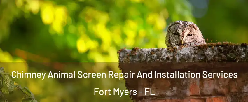  Chimney Animal Screen Repair And Installation Services Fort Myers - FL