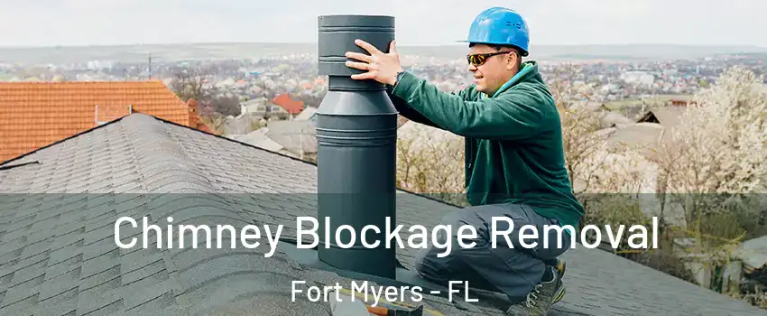  Chimney Blockage Removal Fort Myers - FL