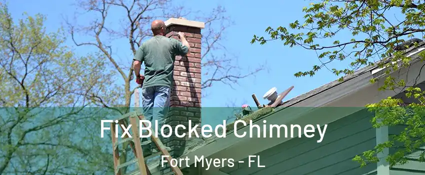  Fix Blocked Chimney Fort Myers - FL