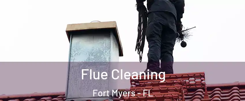  Flue Cleaning Fort Myers - FL