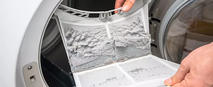 Best Dryer Lint Removal Company in Fort Myers, Florida