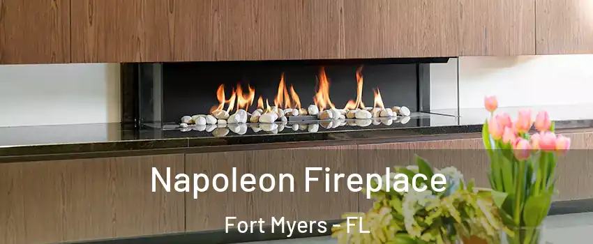  Napoleon Fireplace Fort Myers - FL